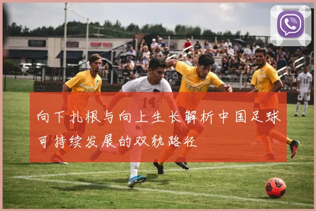 向下扎根与向上生长解析中国足球可持续发展的双轨路径