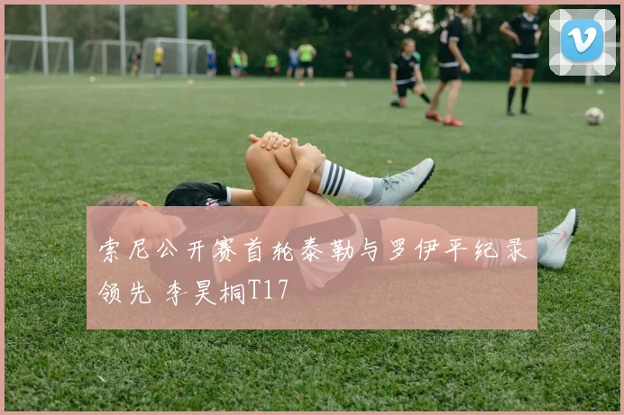 索尼公开赛首轮泰勒与罗伊平纪录领先 李昊桐T17