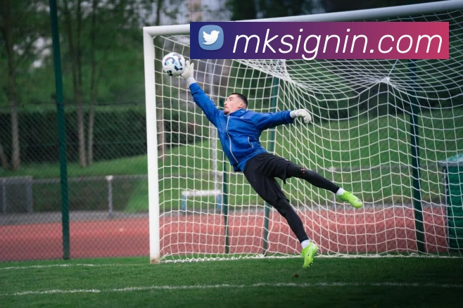 MK体育服务体系