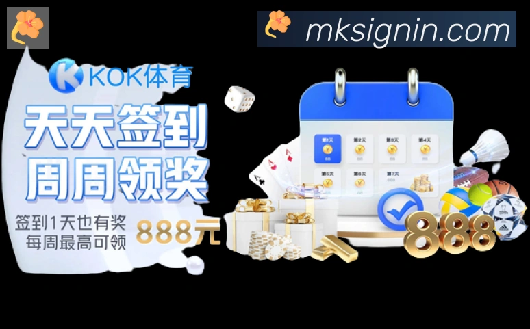 未来规划